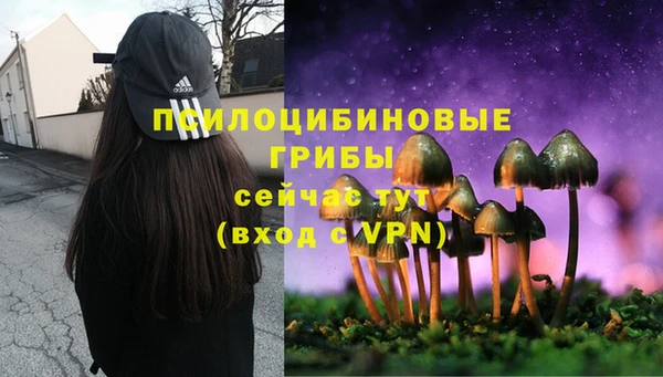 mix Кодинск