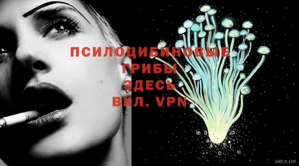 дживик Киреевск